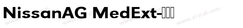 NissanAG MedExt字体转换
